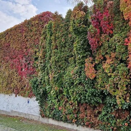 アパートメント レジデンス アパート